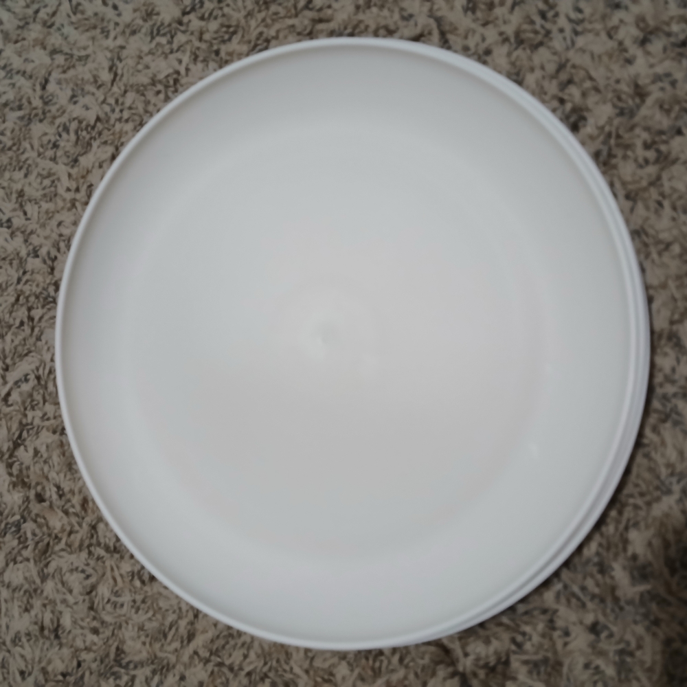 White PLASTIC Dinner Plate